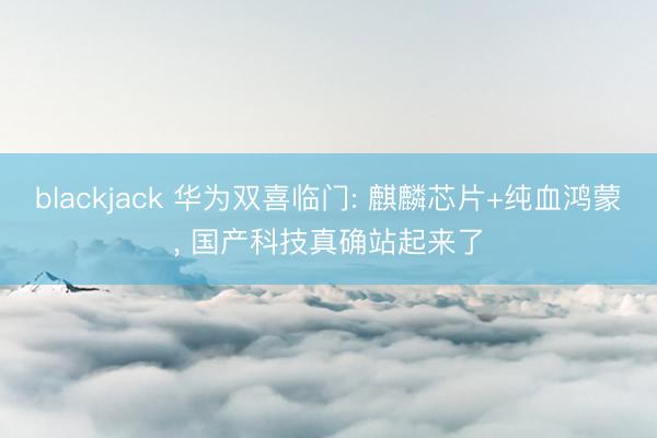 blackjack 华为双喜临门: 麒麟芯片+纯血鸿蒙, 国产科技真确站起来了