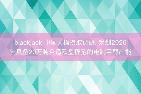 blackjack 中国天楹摄取调研: 筹划2026年具备20万吨合适欧盟模范的电制甲醇产能