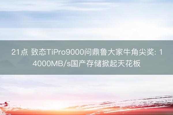 21点 致态TiPro9000问鼎鲁大家牛角尖奖: 14000MB/s国产存储掀起天花板
