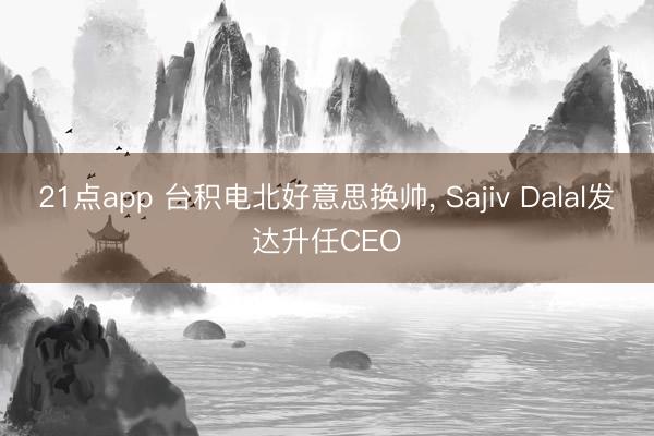 21点app 台积电北好意思换帅， Sajiv Dalal发达升任CEO