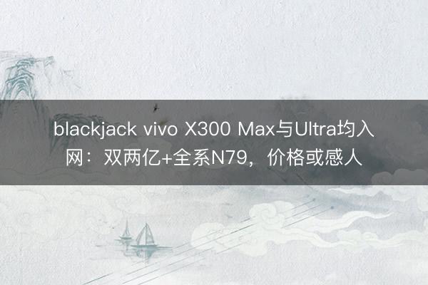 blackjack vivo X300 Max与Ultra均入网:双两亿+全系N79,价格或感人