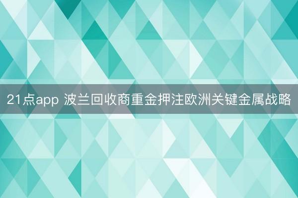 21点app 波兰回收商重金押注欧洲关键金属战略