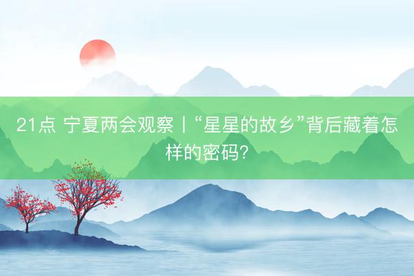 21点 宁夏两会观察丨“星星的故乡”背后藏着怎样的密码?