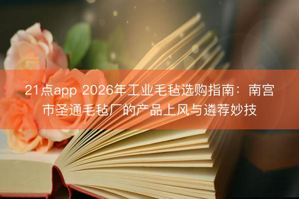 21点app 2026年工业毛毡选购指南：南宫市圣通毛毡厂的产品上风与遴荐妙技