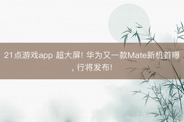21点游戏app 超大屏! 华为又一款Mate新机首曝， 行将发布!