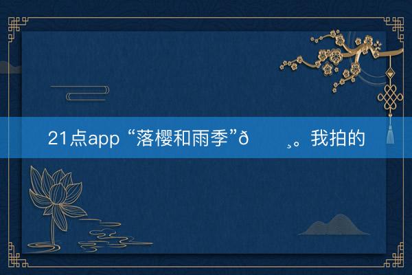 21点app “落樱和雨季”🌸<a href=