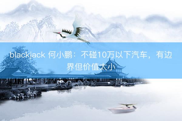 blackjack 何小鹏：不碰10万以下汽车，有边界但价值太小