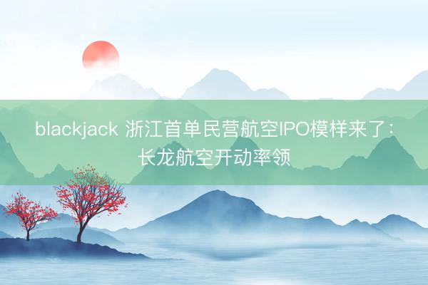 blackjack 浙江首单民营航空IPO模样来了:长龙航空开动率领