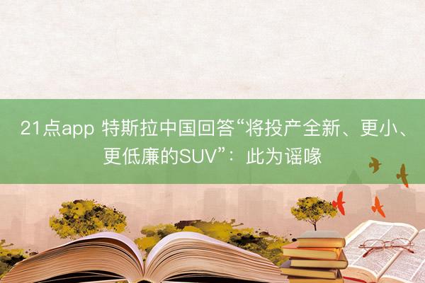 21点app 特斯拉中国回答“将投产全新、更小、更低廉的SUV”:此为谣喙