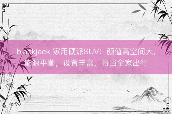 blackjack 家用硬派SUV!颜值高空间大,能源平顺,设置丰富,得当全家出行