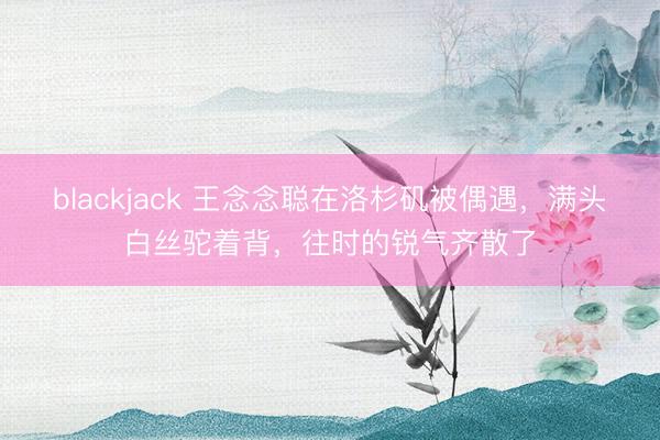blackjack 王念念聪在洛杉矶被偶遇，满头白丝驼着背，往时的锐气齐散了