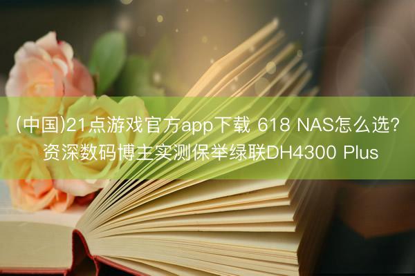(中国)21点游戏官方app下载 618 NAS怎么选? 资深数码博主实测保举绿联DH4300 Plus