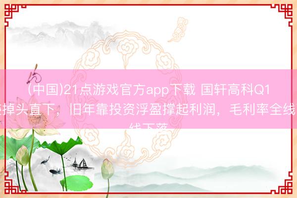 (中国)21点游戏官方app下载 国轩高科Q1事迹掉头直下，旧年靠投资浮盈撑起利润，毛利率全线下落