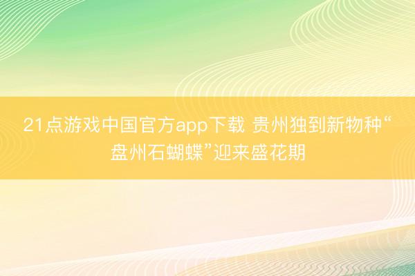 21点游戏中国官方app下载 贵州独到新物种“盘州石蝴蝶”迎来盛花期