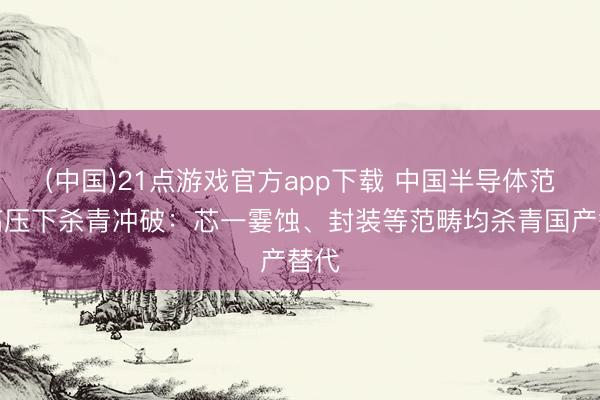 (中国)21点游戏官方app下载 中国半导体范畴高压下杀青冲破：芯一霎蚀、封装等范畴均杀青国产替代