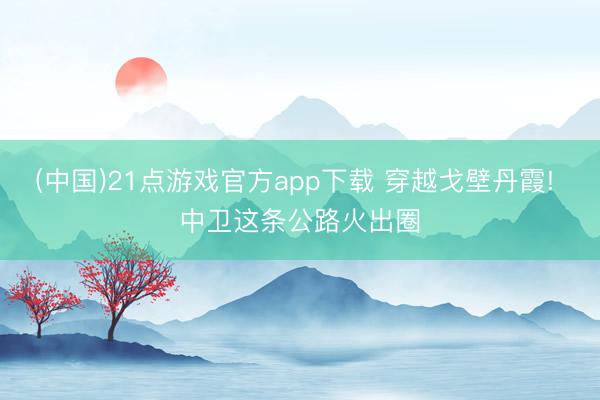 (中国)21点游戏官方app下载 穿越戈壁丹霞! 中卫这条公路火出圈