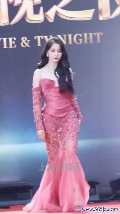 陈数出席中国影视之夜 红毯星光灿艳